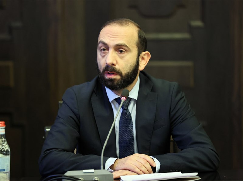 Арарат Мирзоян на заседании правительства Армении, Котайк
