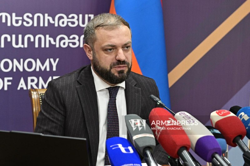 Лилит Шабоян, пресс-секретарь министра экономики Армении, в Ереване