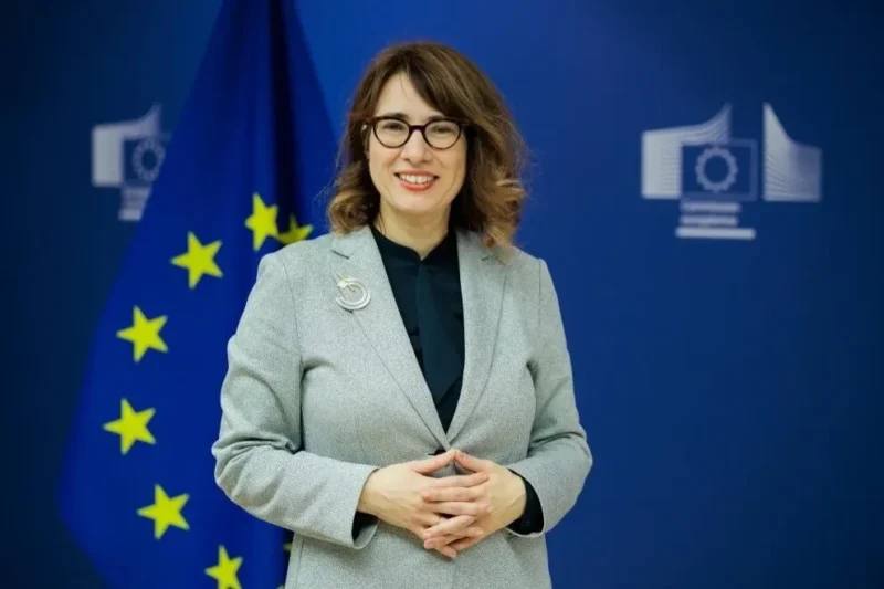 Флаги Евросоюза и Армении на фоне административного здания в Котайкской области