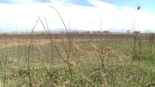 Здание Комитета кадастра Армении, Вагаршапат, хищение земельных участков