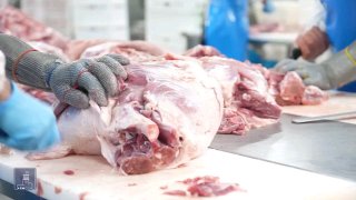 Производственный цех компании «Атенк» в Котайкской области