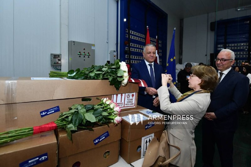 Розы различных сортов, экспортированные из Котайкской области в Латвию