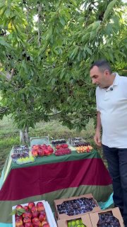 Первая партия армянских фруктов из Котайка отправляется в ОАЭ