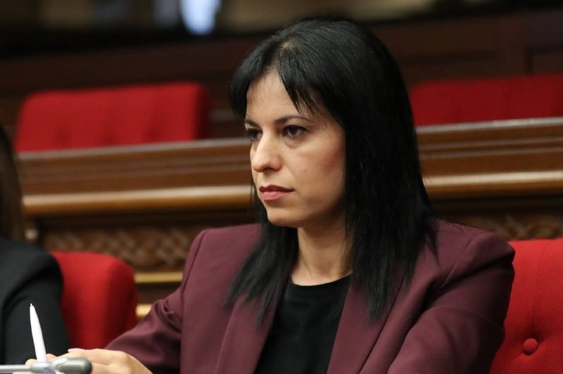 Задержание Арегназ Манукян, члена правления партии «Мать Армения», в Котайкской области