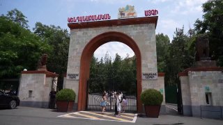 Животные из особняка Гагика Царукяна в карантинной зоне Ереванского зоопарка, Котайк