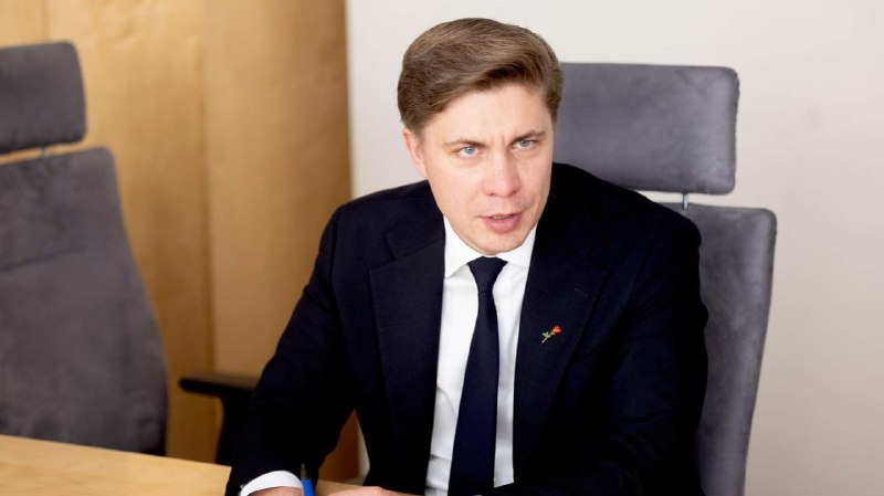 Миндаугас Синкявичюс в парламенте Литвы, Котайк